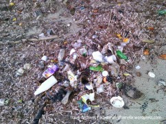 Garbage hidden along the right side of the beach. There's a reason that side was deserted of people.